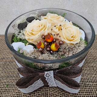 Stabilizované ruže krémové