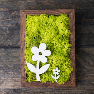 Obraz stabilizovaný mach + kvetinka