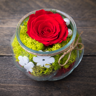 Stabilizovaná ruža červená + vázička 