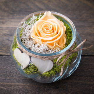 Stabilizovaná ruža krémová + vázička