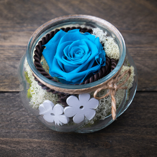 Stabilizovaná ruža modrá + vázička