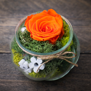 Stabilizovaná ruža oranžová + vázička