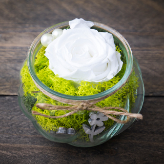 Stabilizovaná ruža biela + vázička