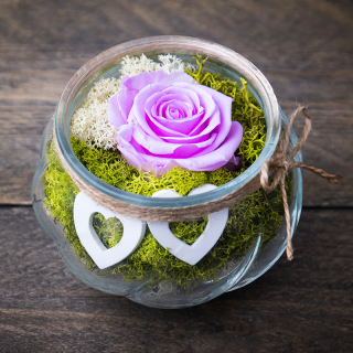 Stabilizovaná ruža fialková + vázička