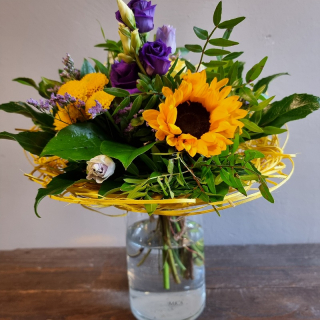 Kytica slnečnica hello