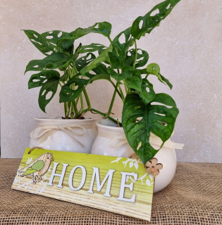 Monstera Monkey Mask